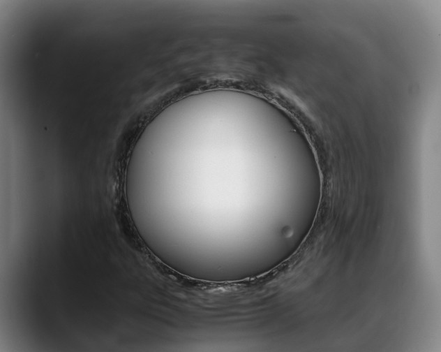 X0000089431303200706151014