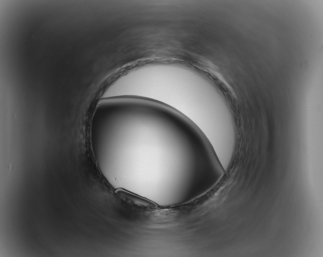 X0000089431304200706151014