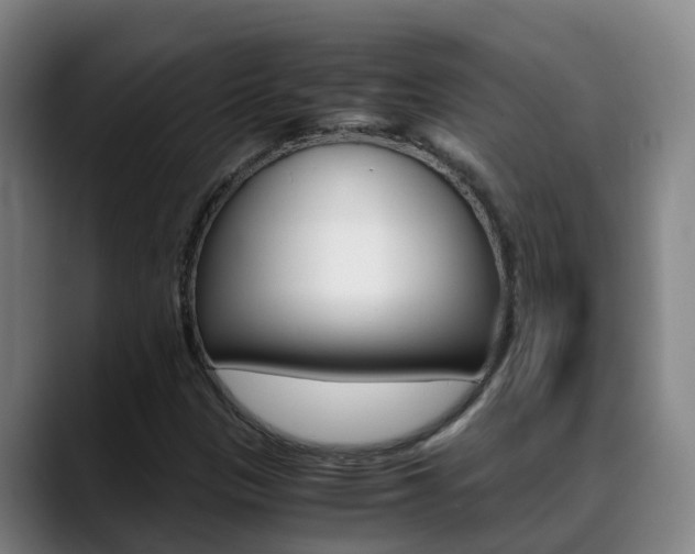 X0000089431305200706151014