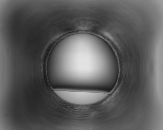 X0000089431307200706151014
