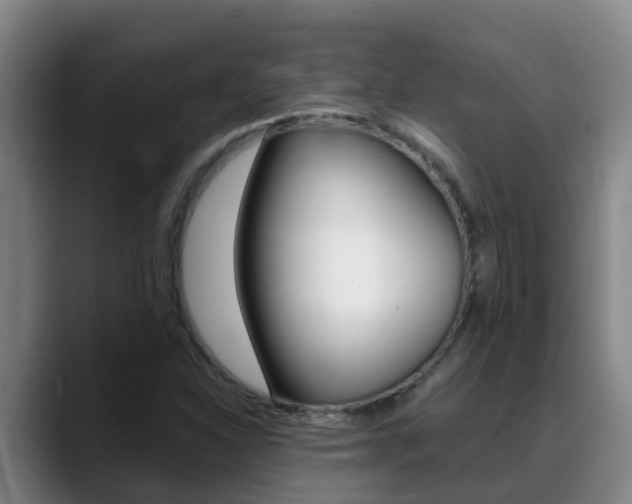 X0000089431310200706151014