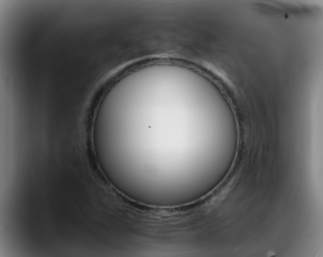 X0000089431311200706151014