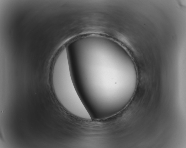 X0000089431312200706151014