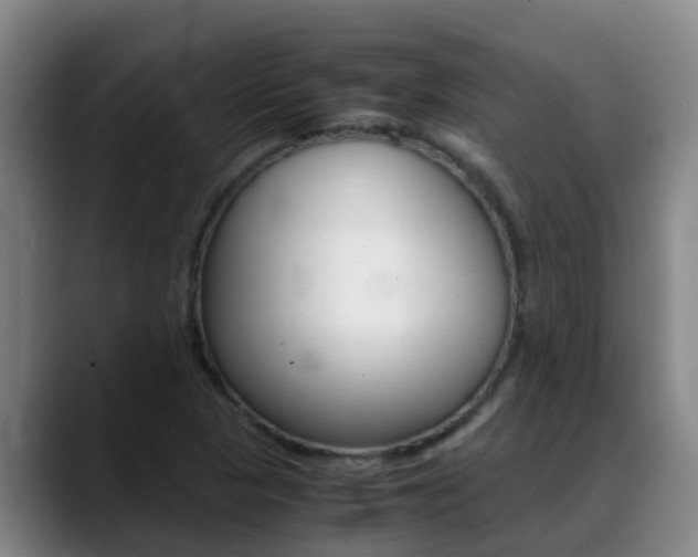 X0000089431313200706151014