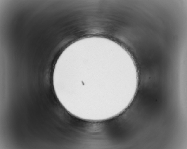 X0000089431314200706151014