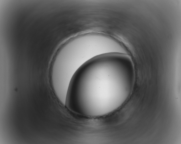 X0000089431316200706151014