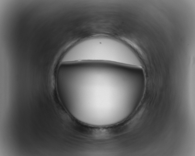 X0000089431317200706151014