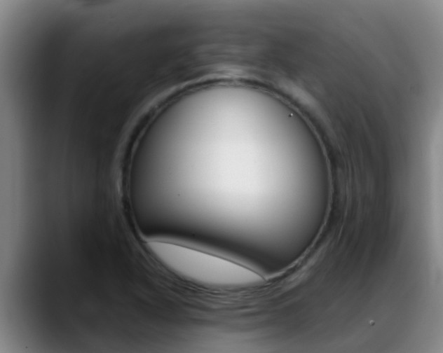 X0000089431318200706151014