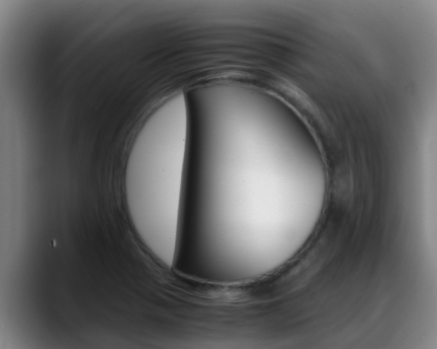 X0000089431321200706151014