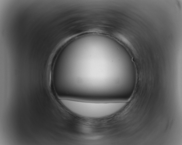 X0000089431323200706151014