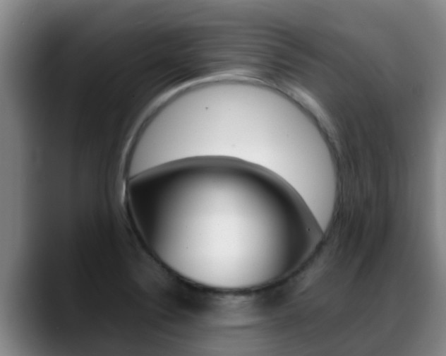 X0000089431324200706151014