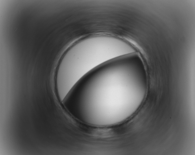 X0000089431325200706151014