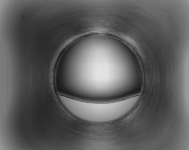 X0000089431326200706151015