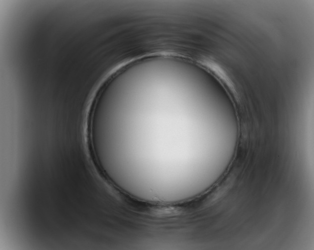 X0000089431331200706151015