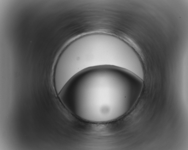 X0000089431332200706151015