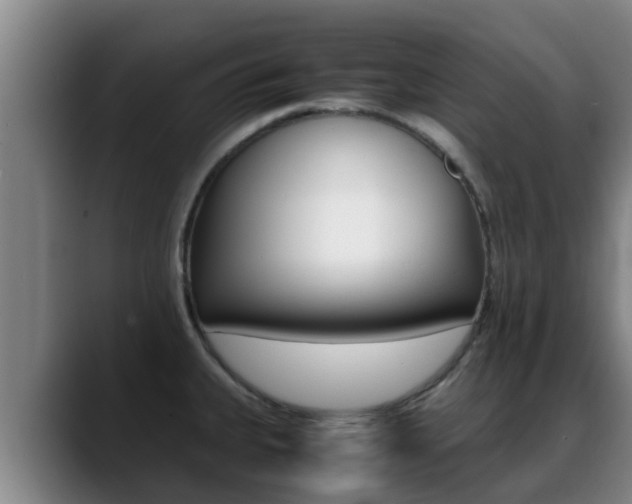 X0000089431335200706151015