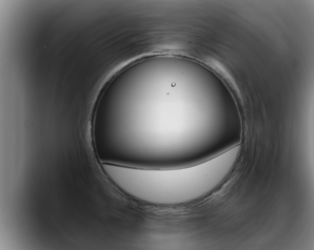 X0000089431336200706151015