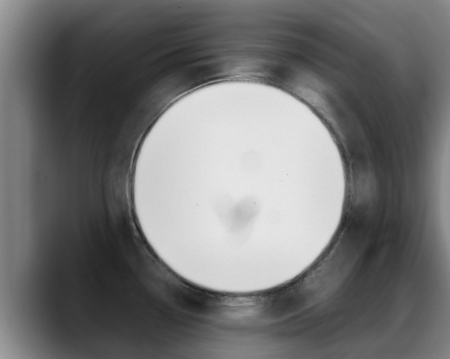 X0000089431338200706151015