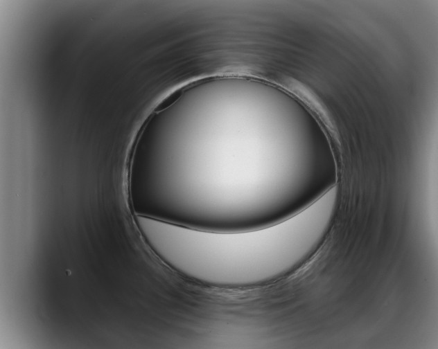 X0000089431340200706151015
