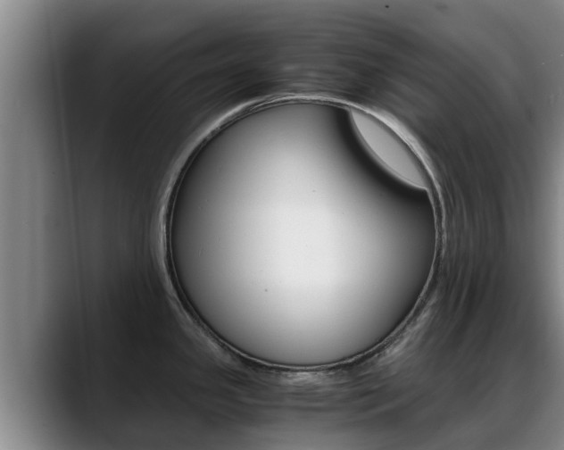 X0000089431341200706151015