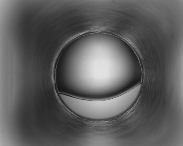 X0000089431342200706151015