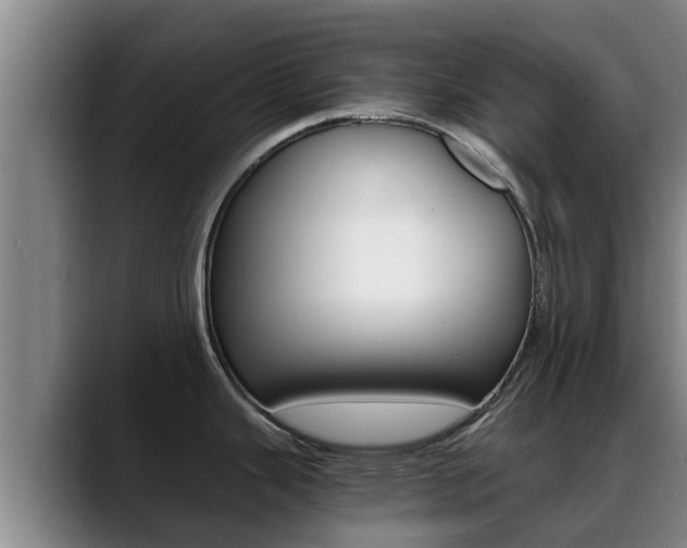 X0000089431343200706151015