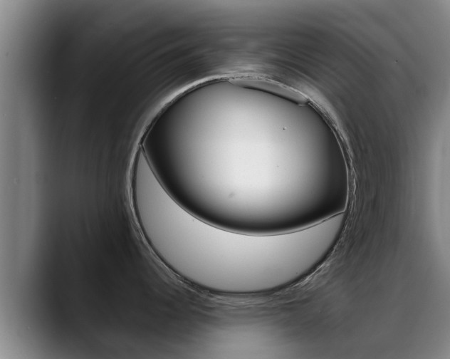 X0000089431344200706151015