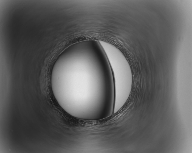 X0000089431345200706151014
