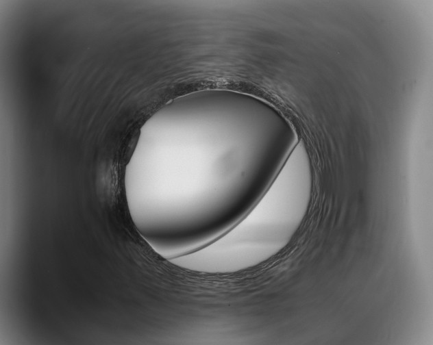 X0000089431347200706151014