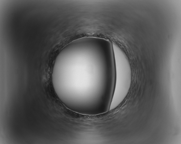 X0000089431349200706151014