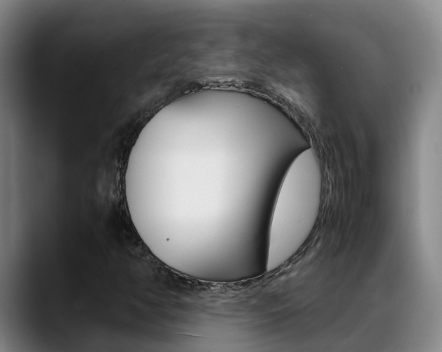 X0000089431350200706151014