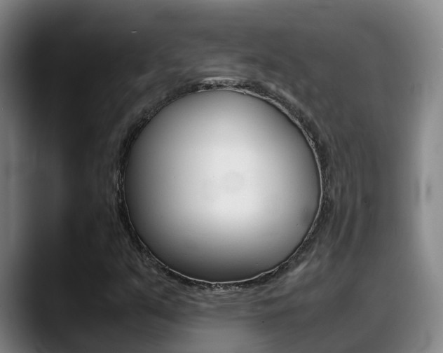 X0000089431351200706151014