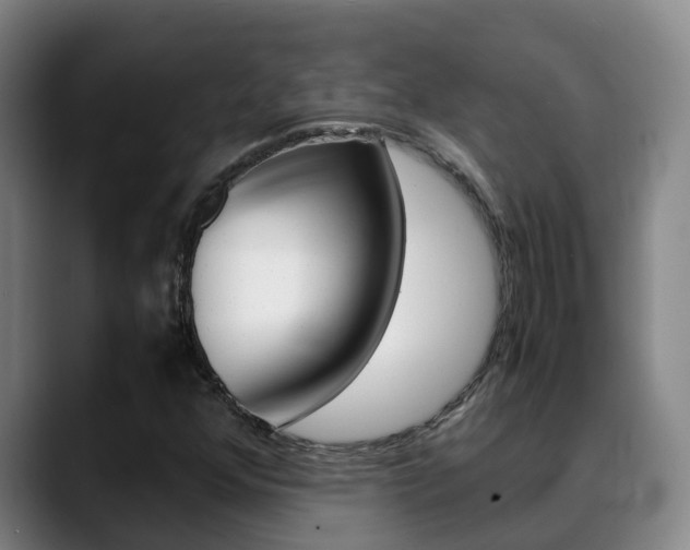 X0000089431352200706151014