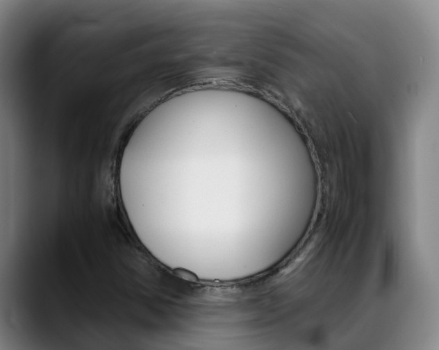 X0000089431354200706151014