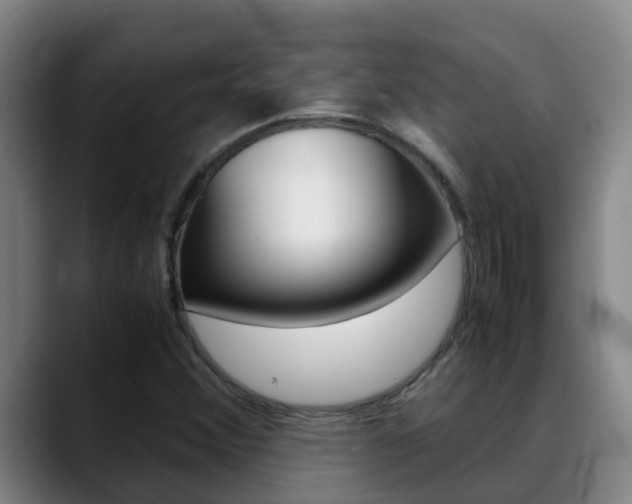X0000089431356200706151014