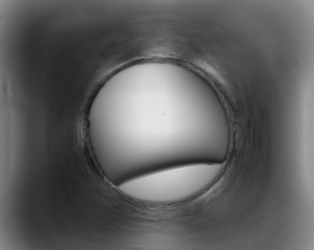 X0000089431358200706151014