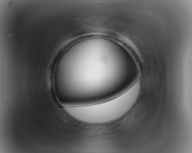 X0000089431360200706151014
