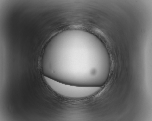X0000089431361200706151014
