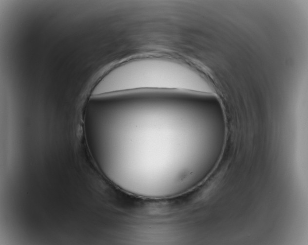 X0000089431363200706151014