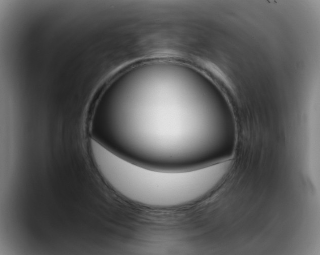 X0000089431364200706151014