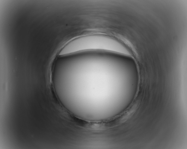 X0000089431365200706151014