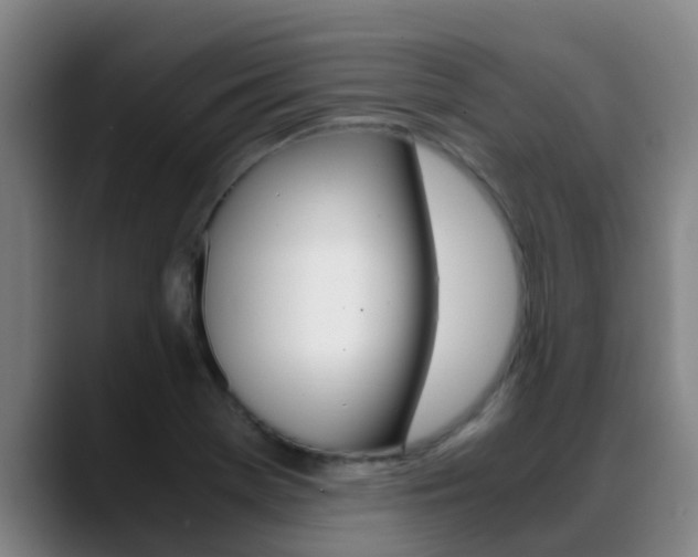 X0000089431369200706151014