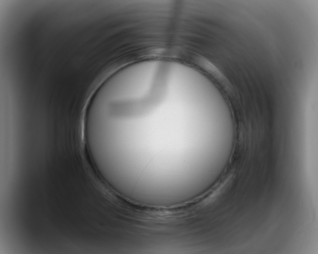 X0000089431370200706151014