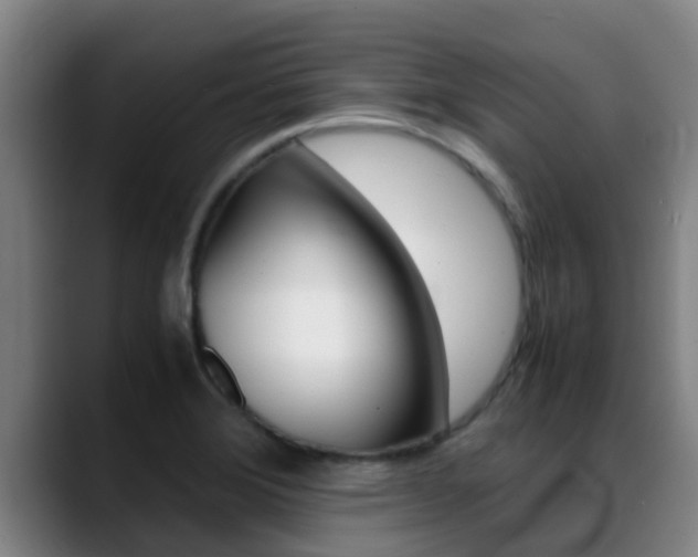 X0000089431372200706151014
