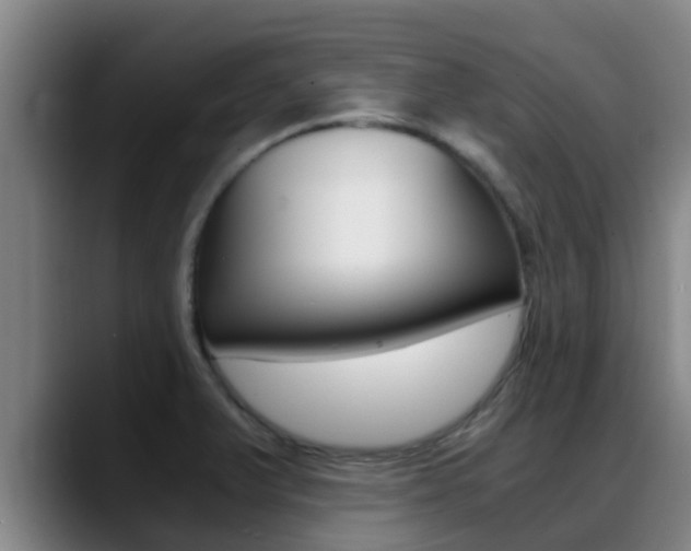 X0000089431375200706151014
