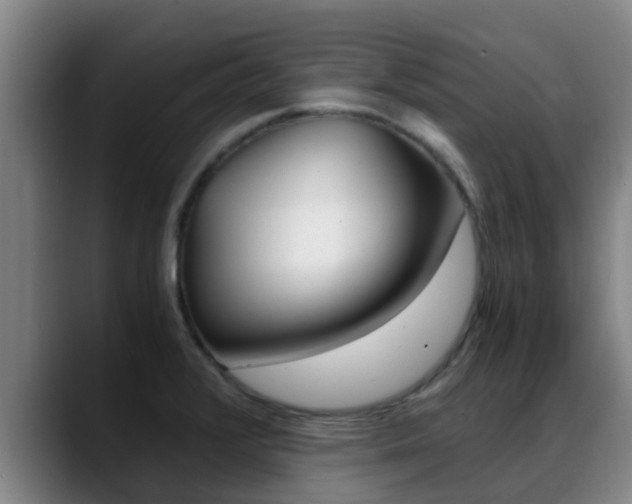 X0000089431376200706151014