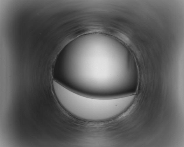 X0000089431377200706151014