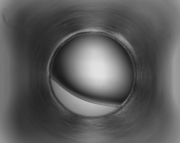 X0000089431380200706151014