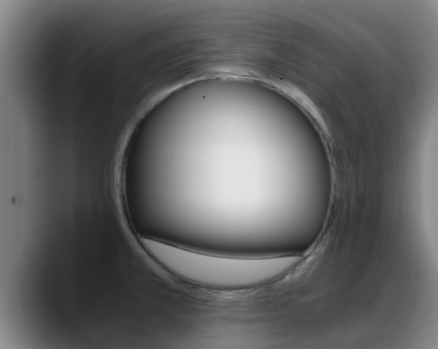 X0000089431381200706151014