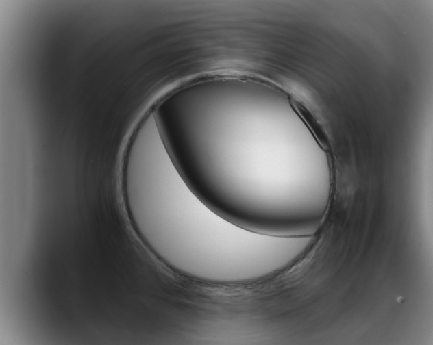 X0000089431384200706151014